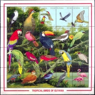 BIRDS-TROPICAL BIRDS OF GUYANA- FLAMINGOS-MACAWS Etc.-SHEETLET-GUYANA-SCARCE-MNH-M-129 - Specht- & Bartvögel