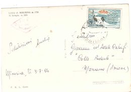 £10 OLIMPIADI INVERNALI CORTINA CART.LAGO DI MISURINA - Inverno1956: Cortina D'Ampezzo