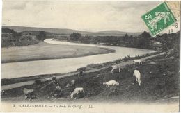 Orléansville - Les Bords Du Chélif - Chlef (Orléansville)