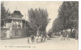 Blida - Avenue Amand-le-Goff - Blida