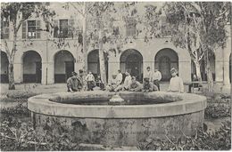 Ténès - Le Jardin De L'Hôpital Militaire - Chlef (Orléansville)