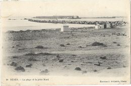 Ténès - La Plage Et La Jetée Nord - Chlef (Orléansville)