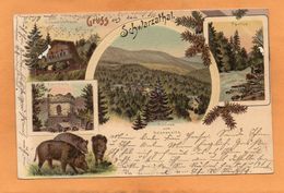 Gruss Aus Dem Schwarzathal Germany 1907 Postcard Mailed - Saalfeld