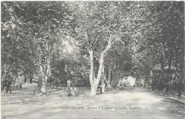 Delcampe - 83.  DRAGUIGNAN. ALLEES D AZEMAR - Draguignan
