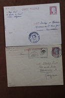 MARIANNE  DE  DECARIS                 2   ENTIERS  POSTAUX  0,25 - Standard Covers & Stamped On Demand (before 1995)