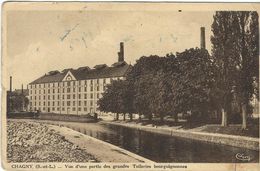 Delcampe - Saone Et Loire : Chagny, Vue D'Une Partie Des Grandes Tuileries Bourguignones - Chagny