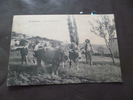 CP 12 Aveyron Saint Afrique Type De Laboureurs Attelage Gros Plan TBE - Saint Affrique