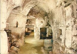 Cpsm Gf -   Une Cave Creusé Dans La Pierre Ou Veillit Le Bon Vin 61 - Pays De La Loire