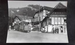 CP Train - Près De Steffisburg - 31 Aout 1948 - Photo R. Wiseman - N°40 1 STI - Steffisburg