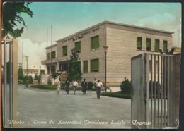 Delcampe - °°° 10570 - VITERBO - TERME DEI LAVORATORI PREVIDENZA SOCIALE - INGRESSO - 1963 °°° - Viterbo