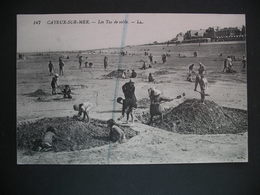 Cayeux-sur-Mer.-Les Tas De Sable - Picardie