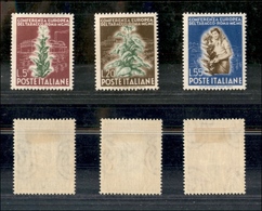 2205 REPUBBLICA  - 1950 - Tabacco (629/631) - Nuovi Con Gomma - Other & Unclassified