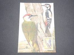 LUXEMBOURG - Carte Maximum Oiseaux - L 13313 - Cartoline Maximum