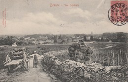 BEAUNE  COTE D'OR  21  CPA   VUE GENERALE - LE VIGNOBLE - Beaune