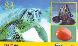 Télécarte FIJI  (2318) TORTUE *  TURTLE * SHELL * Phonecard - SCHILDKRÖTE * TELEFONKARTE - Schildkröten