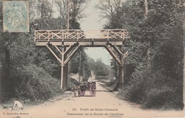 78 - CARRIERES - Forêt De Saint Germain - Passerelle De La Route De Carrières - Carrieres Sous Poissy
