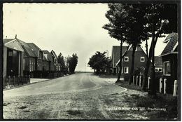 Julianadorp Aan Zee  -  Proeftuinweg  -  Ansichtskarte Ca.1969    (8193) - Den Helder