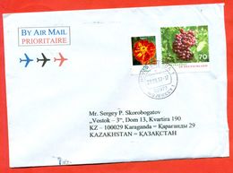 Germany 2017.Grapes. Flower. The Envelope Passed The Mail. - Lettres & Documents