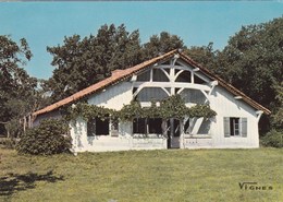 Sabres - Airial De Marquèze.Maison à Auvent Datée 1824 - Sabres