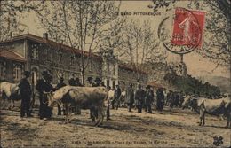 CPA Le Gard Pittoresque Saint St Ambroix Place Des écoles Le Marché Bestiaux Bovins Vaches Circulée 1909 BM Boite Mobile - Saint-Ambroix