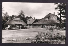 CPSM PAYS-BAS - HOLLANDE - AMERSFOORT - Ingang Dierenpark - Café Restaurant - TB PLAN Du Restaurant 1961 - Amersfoort