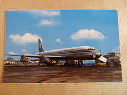AIRPORT / FLUGHAFEN / AEROPORT     AMSTERDAM  SCHIPOL  DC 8 KLM - Vliegvelden