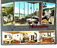 Allemagne - Schwarzwaldhochstrasse - Hotel Restaurant Wiedenfelsen - Hochschwarzwald