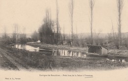 78 - FRENEUSE - Petit Bras De La Seine à Freneuse - Freneuse