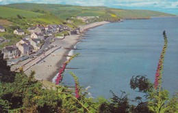 Postcard The Beach Amroth Nr Saundersfoot Pembrokeshire By Dragon Publishing PU Tenby 1987 My Ref  B11925 - Pembrokeshire