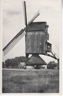 Gestelse Dreef Molen - Meerhout