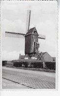 De Oude Molen - Wevelgem