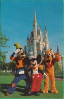 Etats-Unis - Orlando -  Walt Disney World - You're As Welcome As Can Be - Mickey Mouse, Goofy, Pluto - Orlando