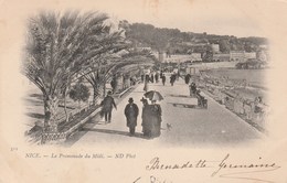 NICE  06  ALPES MARITIMES  CPA    LA PROMENADE DU MIDI - Markten, Pleinen