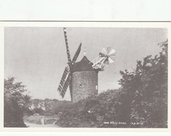 SARK Postcard - Windmill- Unused Mint - Reproduction - Sark