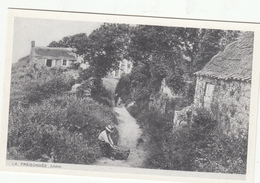 SARK  Postcard- La Fregondee -  Unused Mint - Reproduction - Sark