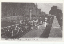 SARK -Postcard  Alert At The Harbour-  Unused Mint - Reproduction - Sark