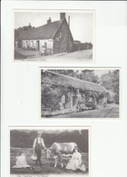 SARK Postcard- All 9 Cards  Unused Mint - Reproduction - Sark