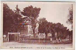 91. SENART . FORET DE SENART . L'HOTEL DE LA PYRAMIDE ET LA ROUTE DE MELUN . - Sénart