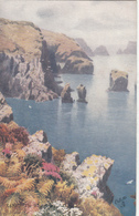 SARK Postcard West Coast  - Unused Mint - Sark