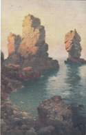 SARK Postcard - Les Autelets - Unused Mint - Sark