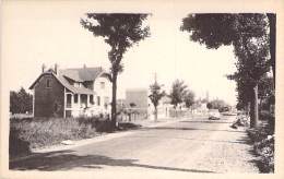 71 - TOURNUS :  Avenue De Chalon - CPA - Saône Et Loire - Other & Unclassified