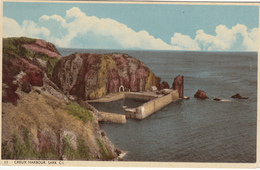 SARK Postcard - Les Creux Harbour- Unused Mint - Sark