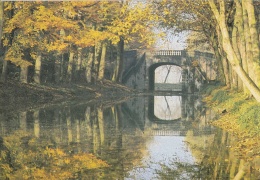 Enghien -  Le Pont De La Dodane - Edingen