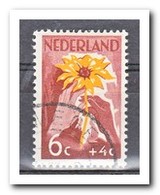 Nederland 1949, Gestempeld USED, 539 P, NIWIN - Errors & Oddities