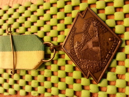 Medaille  / Medal - Hefst.w.tocht , W.S.V De Ploeg Zelhem "65 / Walking  / Marche Pour L'Association   - The Netherlands - Altri & Non Classificati