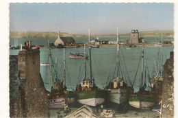 Camaret Sur Mer -  Bateaux De Peche Dans Le Port  -  CPSM° - Camaret-sur-Mer