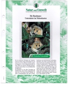 Deutsche Umwelthilfe  -   Die Haselmaus   -   Puzzle   -    6.700 Ex - O-Series : Series Clientes Excluidos Servicio De Colección