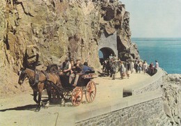 Postcard Island Transport Sark On Harbour Hill My Ref B22217 - Sark