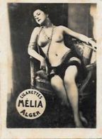 Mélia Cigarettes Photo Nu Féminin Académique Femme Nue Risque érotisme éros - Objets Publicitaires