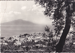 Sorrento - Panorama Da S.Antonio E Vesuvio - Marano Di Napoli